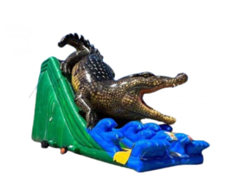 35' Croc Slide