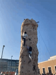 818623DA 4527 411B 9528 3E6F8693E3F8 1745336537 Rock Wall